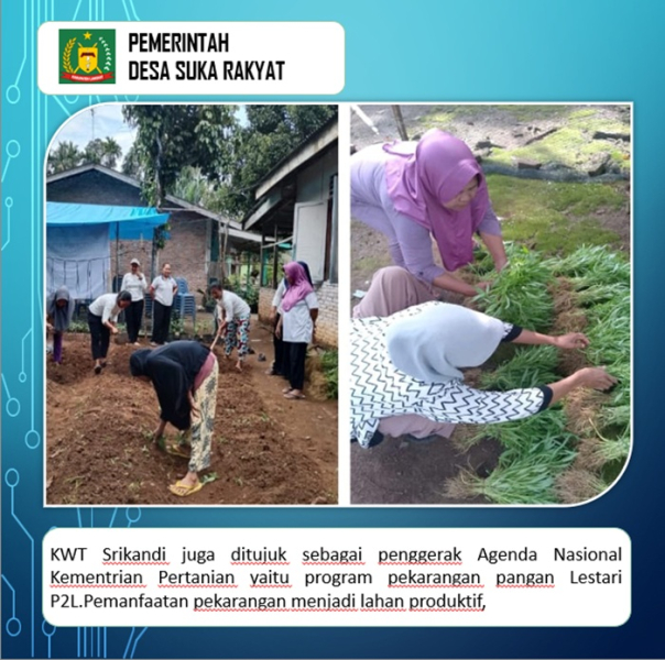 KWT Srikandi menjadi salah satu tolak ukur keberhasilan program ketahanan pangan Desa Suka Rakyat