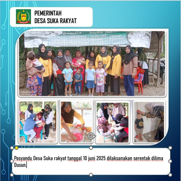 Posyandu Desa Suka rakyat 12 juni 2025 serentak di 5 Dusun