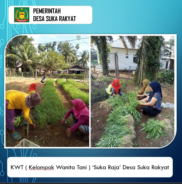 KWT ( Kelompok Wanita Tani ) 'SUKA RAJA' Desa Suka Rakyat